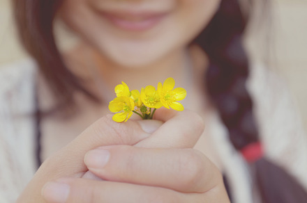 Beautiful Weeds Stock Photo Containing Yellow And Flowers preview 4