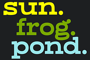 Dried Plums - Display Font, a Serif Font by Suolahti Type (Thumbnail 4 of 11)