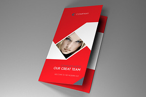 Trifold Indesign Brochure Fancy