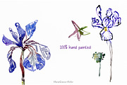 Watercolor Iris Flowers Clipart, a Decorative Illustration by MariaScaroniAtelier (Thumbnail 3 of 6)