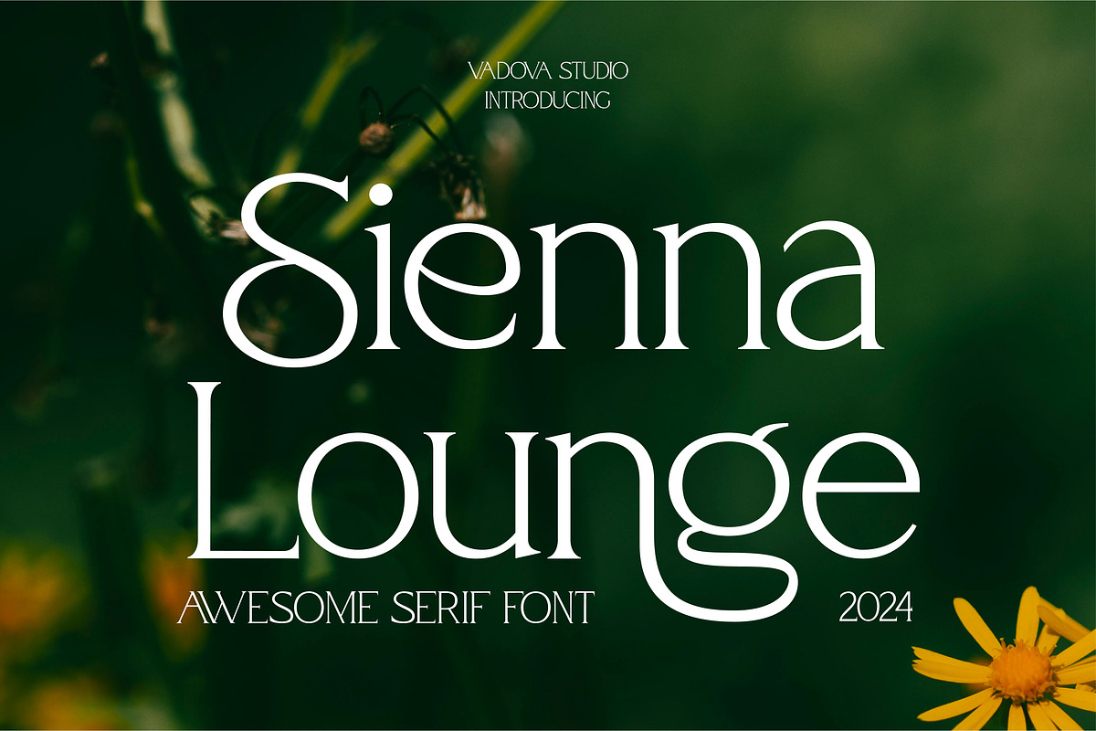 Sienna Lounge – Modern Serif Typefac, a Serif Font by Vadovastd (Photo 1 of 6)