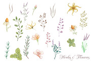Spells of Nature, a Decorative Illustration by Flo Sacred Art (Thumbnail 2 of 7)