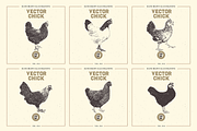VECTOR CHICK HAND DRAWN BUNDLE VOL25, an Animal Illustration by pawellpi (Thumbnail 2 of 9)