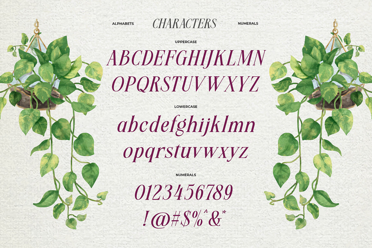 Meillona Typeface, a Serif Font by alit design (Photo 4 of 17)