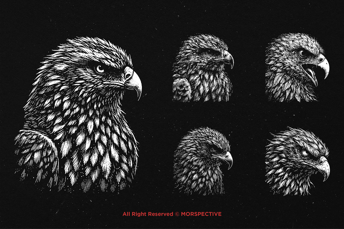 10 Bundle Dark Art Hawk Head Bird, an Illustration by Morspective (Photo 5 of 7)