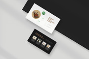 Provia — Proposal Deck PowerPoint, a Presentation Template by New Coral Design (Thumbnail 5 of 6)