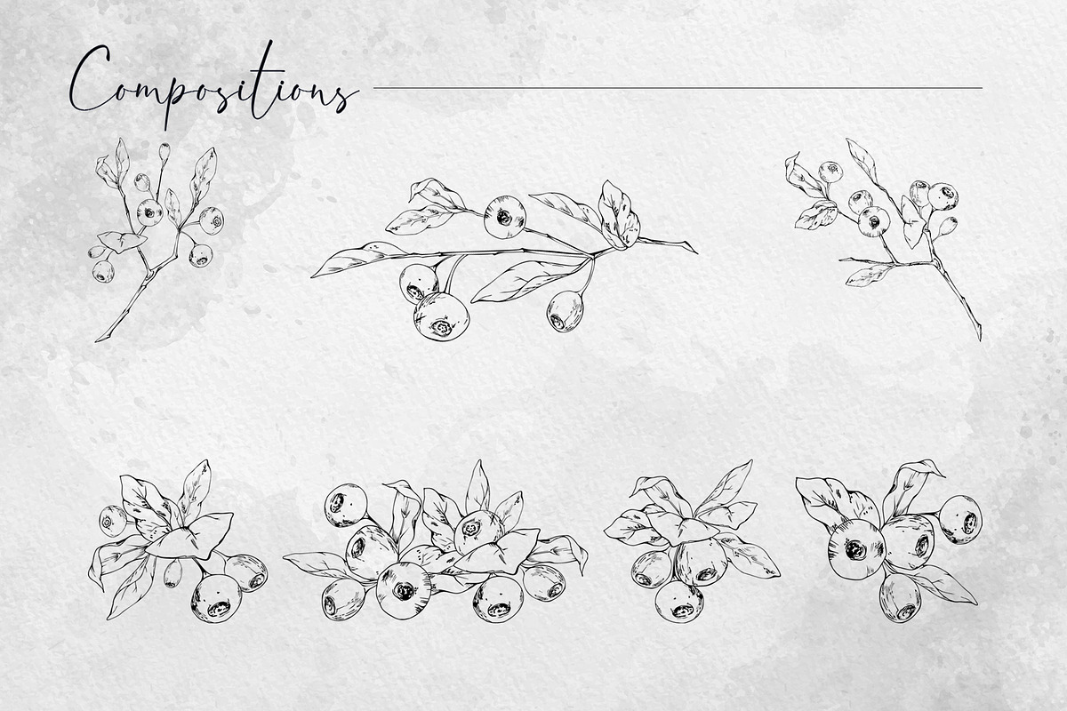 Inky huckleberry. Vector art, a Food Illustration by MsFlaffy (Photo 5 of 11)
