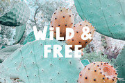 Choco Chip | Handwritten Font, a Font by Faber Co. (Thumbnail 5 of 6)