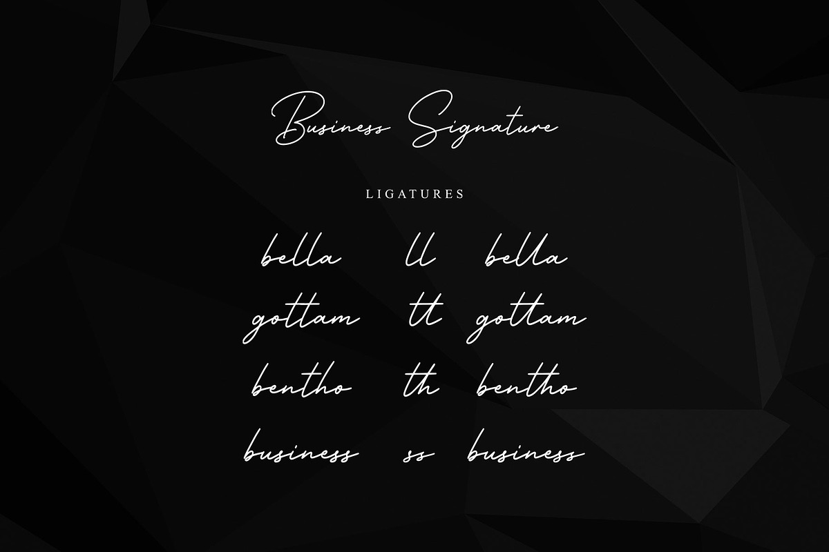 Business Signature - Font, a Script Font by Nirmana Visual (Photo 5 of 7)