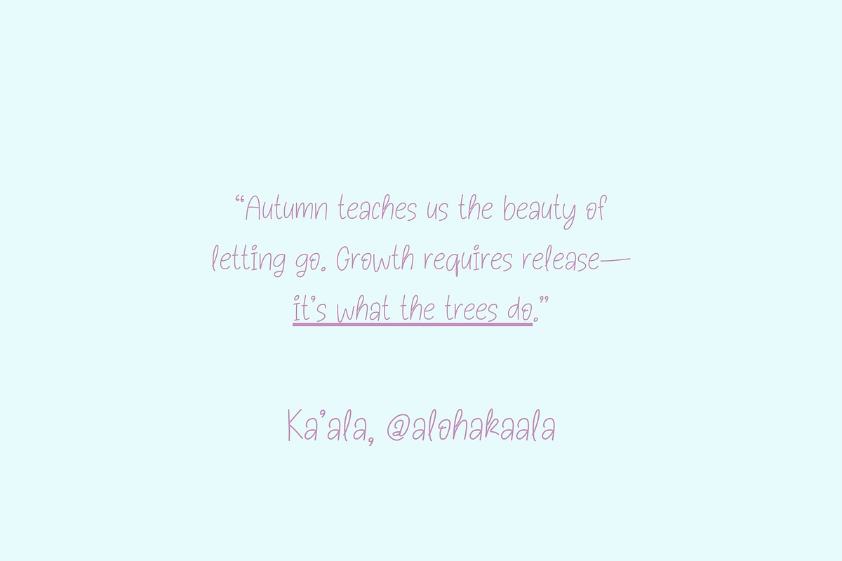 Paloma is a cute handwritten font, a Handwritten Font by Brown Cupple (Photo 3 of 5)