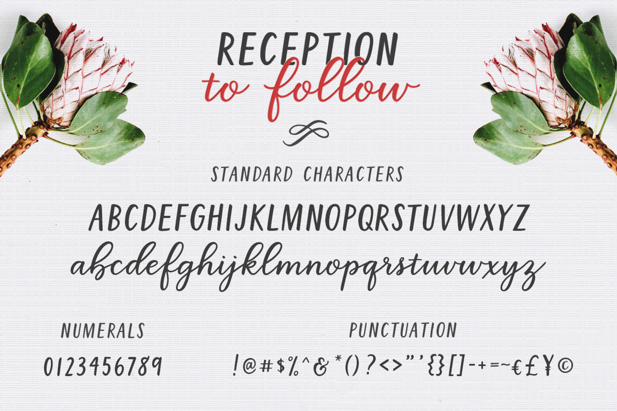 Reception to Follow, a Script Font by Lone Star Lettering (Photo 12 of 13)