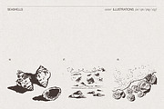 Summer Vacation Beach Collection, a Seasonal Illustration by TheMountBirdStudio (Thumbnail 18 of 21)