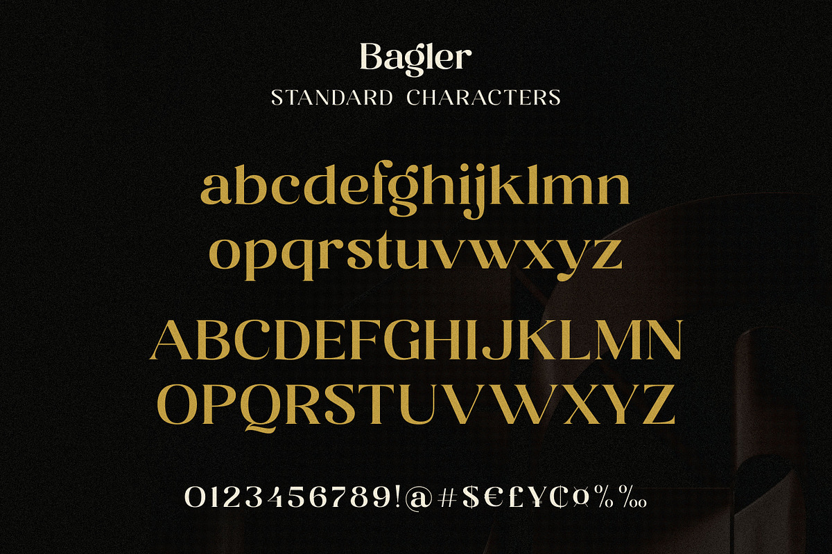 Bagler - Ornamental Display Font, a Serif Font by Ekahermawan (Photo 9 of 13)