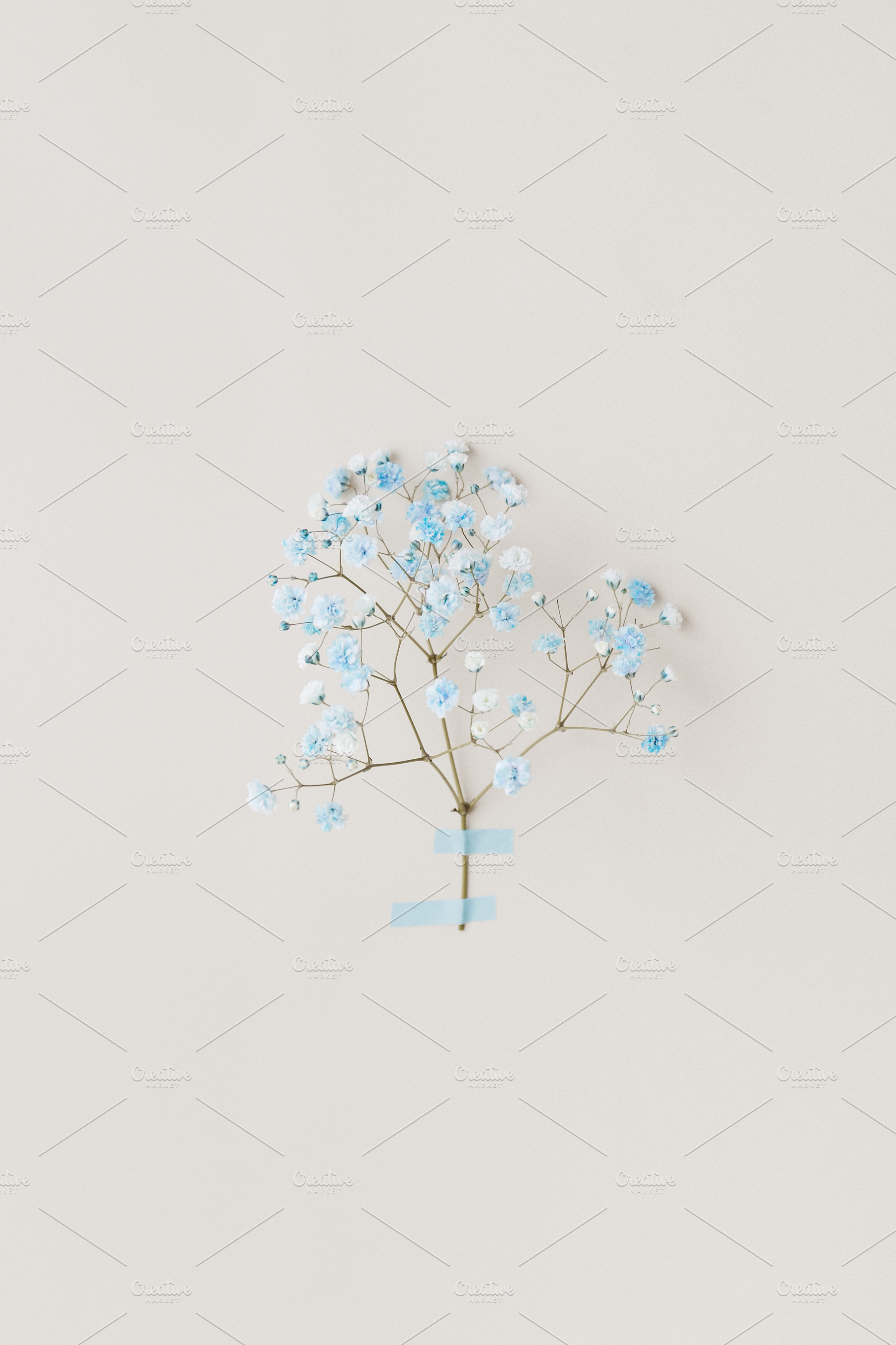 Minimal photo from floral series wit, an Abstract Photo by Edalin's Store