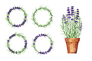 Lavender wreaths, alphabet, pattern, an Illustration by Floralis (Thumbnail 5 of 6)