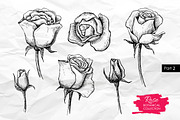 Hand Drawn Roses. Vintage set., a Graphic by Epine (Thumbnail 3 of 3)