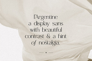 Argentine - Nostalgic Elegant Sans