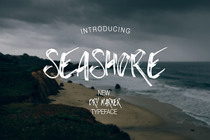 Seashore, a Handwritten Font by supfonts