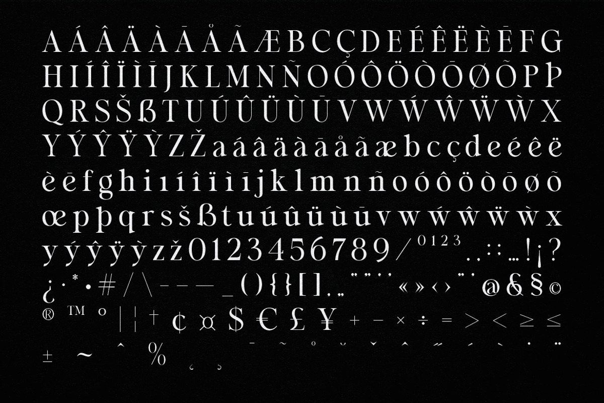 Malgio - Modern Serif, a Serif Font by Almeera Std (Photo 3 of 6)