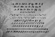 Driest, a Script Font by artisans (Thumbnail 6 of 6)