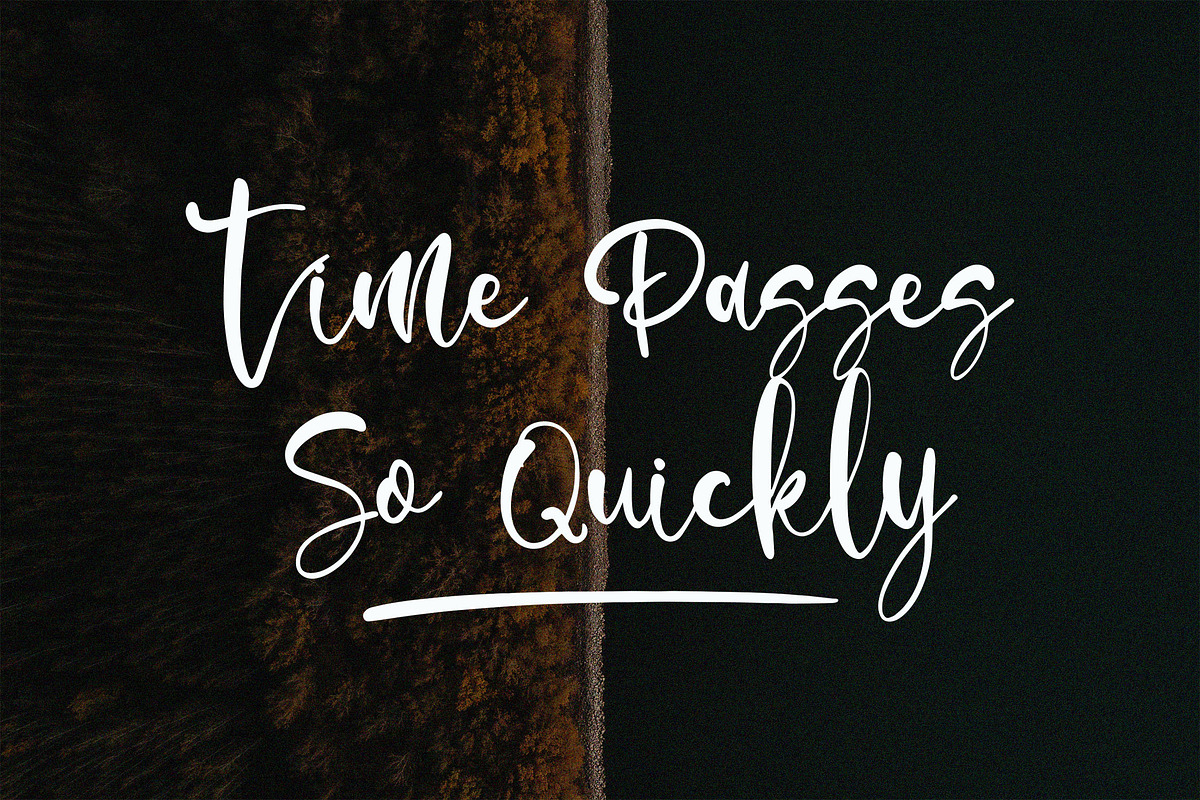 Millea Dilane Script Font, a Script Font by NTC Graphic (Photo 4 of 7)