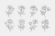 Floral Line Art, an Illustration by Helospace (Thumbnail 3 of 10)