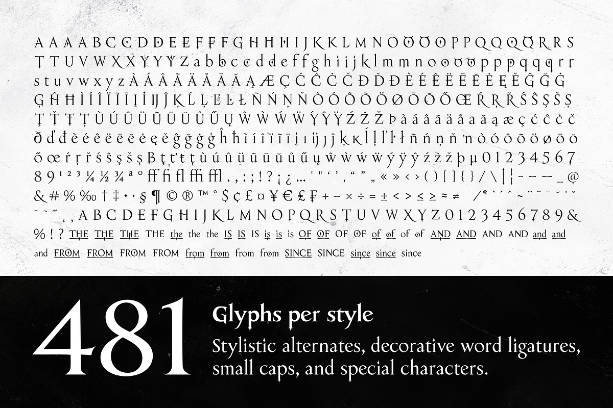 Eitel, a Serif Font by Rosario Nocera (Photo 6 of 11)