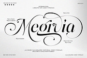 Megivia Calligraphyc Serif | 6 Fonts, a Serif Font by IM Studio (Thumbnail 1 of 12)