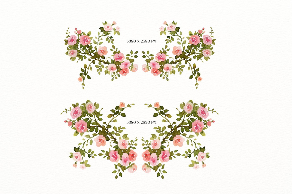 Vintage roses, a Decorative Illustration by AnnelyBlooms (Photo 3 of 7)