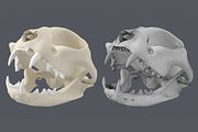 Cat Skull Base Mesh, an Animal 3D Model by VK Studio (Thumbnail 1 of 8)
