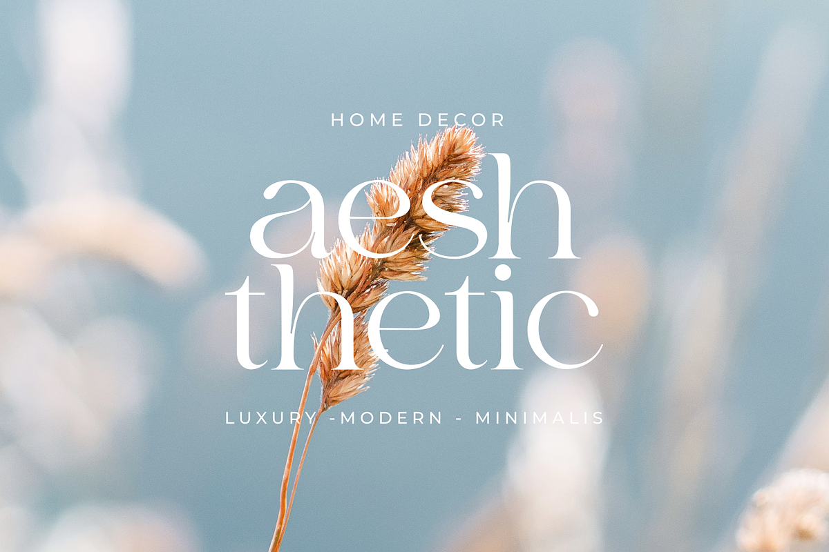 Bilgie - Chique Serif Font, a Serif Font by zeenesia (Photo 5 of 19)
