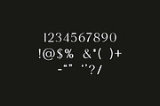 Banfishery Classic Serif Font, a Serif Font by UICreative (Thumbnail 13 of 14)