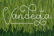 Vandegta, a Script Font by Canden Meutuah (Thumbnail 1 of 8)