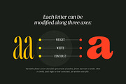 Retro Voice – Variable Serif Font, a Serif Font by Blessed Print (Thumbnail 22 of 29)