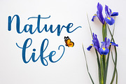 Astylife, a Script Font by Natural Ink Studio (Thumbnail 8 of 8)