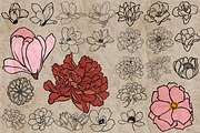 Flower heads stamps for Procreate, a Brush Add-On by TheWhiteCatLab (Thumbnail 5 of 7)