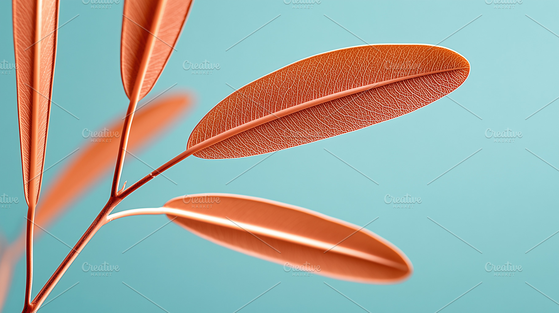 Minimalist close up of orange leaves, a Nature Photo by MistyDay