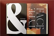 Newburgh Family, a Serif Font by Maison Octave (Thumbnail 5 of 10)