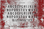 Rage Room Serif Font, a Serif Font by Beck McCormick (Thumbnail 10 of 10)
