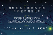 Wonder Night, a Serif Font by Arterfak Project (Thumbnail 11 of 12)