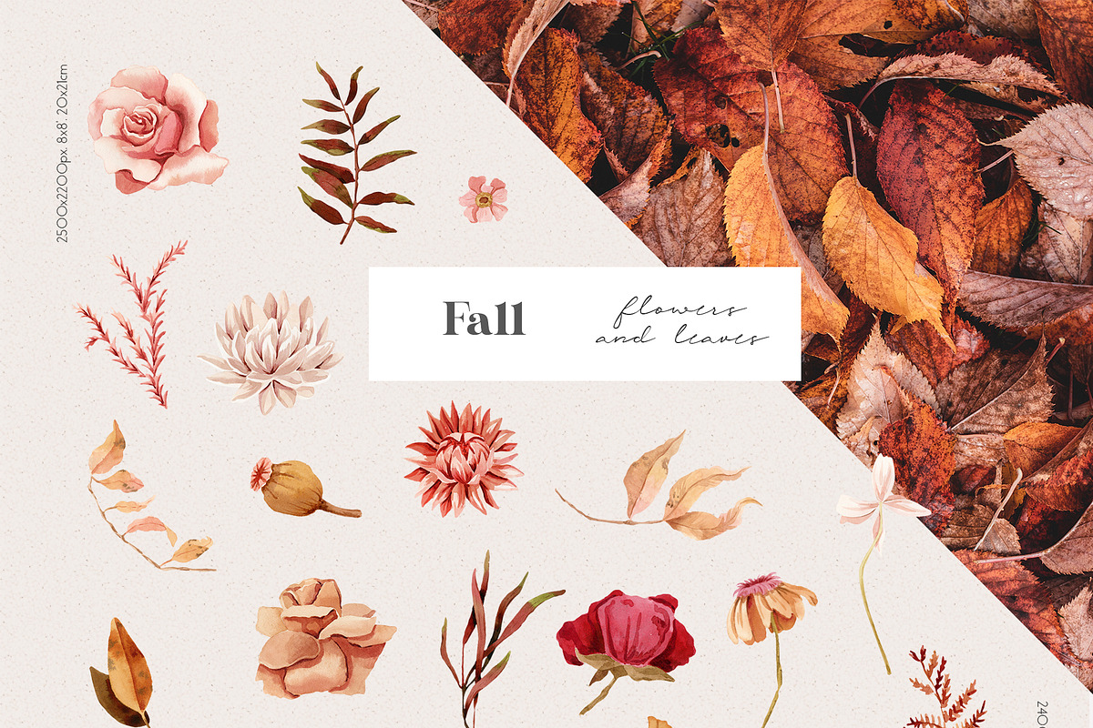 Bright Autumn Watercolor Clipart, an Illustration by Julia M. Watercolor (Photo 9 of 12)