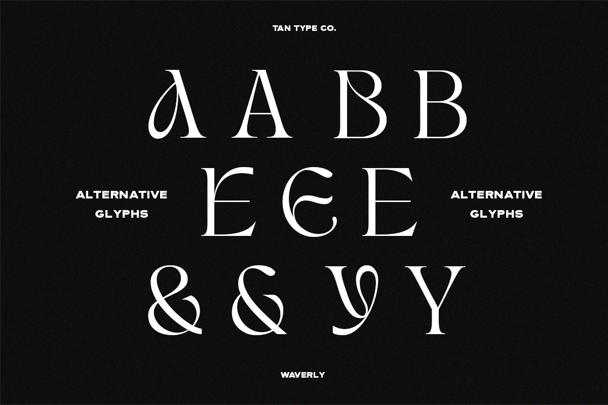 TAN - WAVERLY, a Serif Font by TanType (Photo 12 of 22)