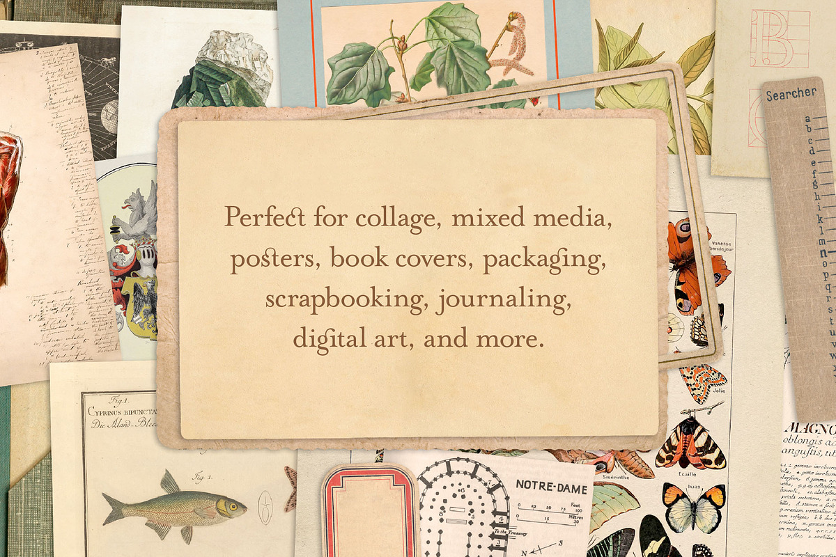 Vintage Bundle – 60% Off! – 21 Packs, an Object Graphic by The Object Atlas (Photo 5 of 26)