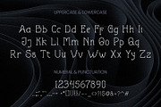 Astralyz Serif Font Type, a Serif Font by ArtiXLabs (Thumbnail 9 of 10)