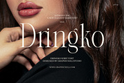 Dringko Elegant Serif Font, a Serif Font by Graphicxell (Thumbnail 1 of 8)