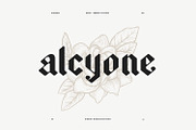Alcyone Display Font + Illustrations, a Blackletter Font by GRPXSTORE (Thumbnail 4 of 4)