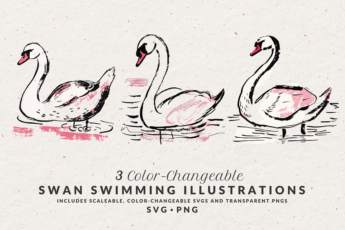 Hand Drawn Swan Illustrations, an Animal Illustration by The October Creative (Photo 1 of 4)