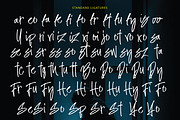 Bipolize Brush, a Handwritten Font by Eltypesstudio (Thumbnail 3 of 12)