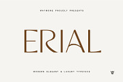ERIAL | Simple Luxury Serif Font, a Sans Serif Font by WhymoreArt (Thumbnail 1 of 11)