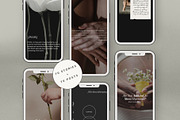 Hormone Health Instagram Templates, a Social Media Template by Terraa Studio Design (Thumbnail 5 of 10)